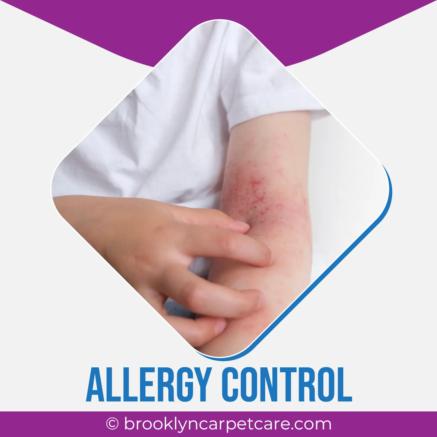 carpet cleaning in brooklyn, carpet cleaning in new york, carpet cleaning brooklyn, carpet cleaners in brooklyn, carpet cleaners in new york, commercial carpet cleaning, commercial carpet cleaning in brooklyn, brooklyn rug cleaners, rug cleaning services in brooklyn, same day carpet cleaning, same day rug cleaning